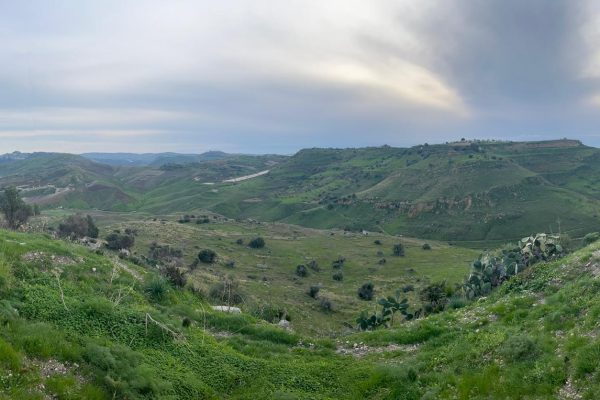 Monte Saraceno