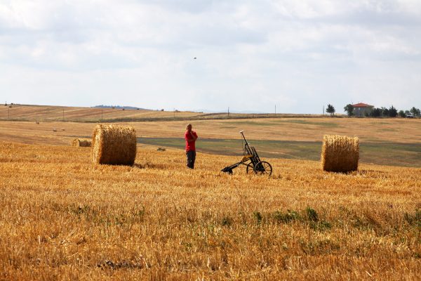 Magnetometer